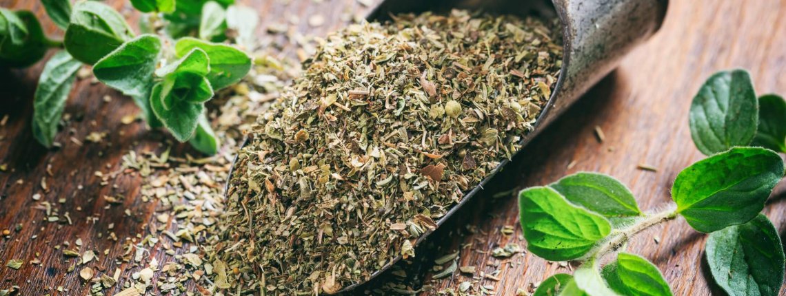 Fresh and dried oregano on a wooden surface