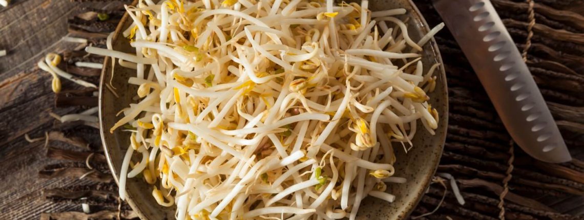 Raw Healthy White Bean Sprouts Ready for Cooking